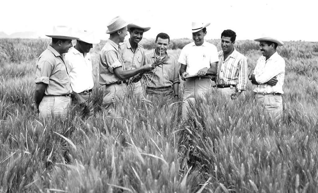 Dr.Borlaug